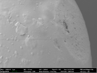 Inter-sample variability image 6